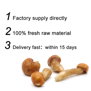 Trung quốc số lượng lớn iqf đông lạnh <span class=keywords><strong>boletus</strong></span> <span class=keywords><strong>edulis</strong></span> nấm Bán hàng nóng - Product Image 3