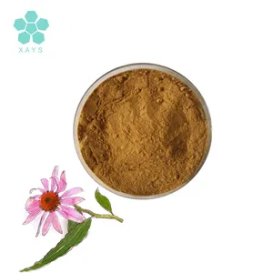 Polvo de extracto de Echinacea Purpurea de alta pureza de la mejor calidad 4% polifenoles