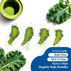 Poudre de fruits et légumes lyophilisés, superaliment vert naturel, poudre pour smoothie et jus, en vrac, OEM - Product Image 2