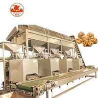 Machine de séparation de coquillages, distributeur automatique de pignons, noix, conducteur, fil de traitement des fissures