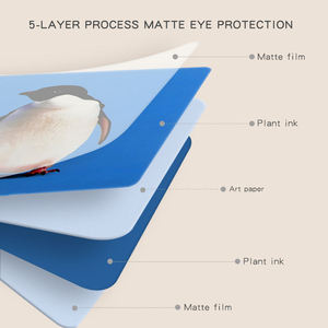 Libros de Tela de Alto Contraste para Bebés, Estimulación Visual, Tarjetas de Papel en Blanco y Negro, Mejora la Cognición para Niños Pequeños - Product Image 5