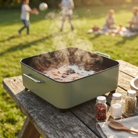 Poêle électrique 24V, plaque chauffante électrique, poêle antiadhésive avec commande par bouton, barbecue extérieur