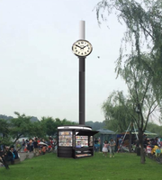 Mât d'antenne décoratif de station de base de style paysager pour télécommunications