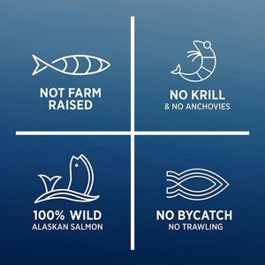 น้ำมันปลาโอเมก้า3 6 9 DHA gummies วิตามินสำหรับสมองร่วมภูมิคุ้มกันสนับสนุนที่เป็นมิตรกับเด็กสำหรับผู้ใหญ่ - Product Image 4