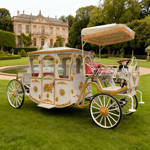 Carroza Eléctrica Real para Exteriores Personalizada de Gran Venta, Carroza sin Caballos con Batería de 60V 80A, Rueda Sólida, 900kg, 2 Años de Garantía - Product Image 4