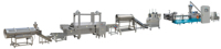 Machine à fabriquer des bâtonnets de maïs frits, ligne d'extrusion saveur salade, usine de friture à l'huile