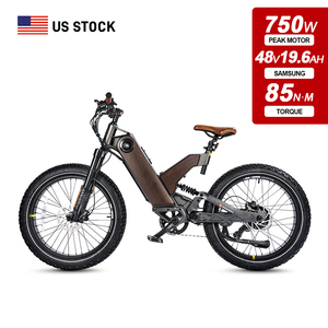 Bicicleta Eléctrica Híbrida con Neumáticos Anchos, 7 Velocidades, Sensor de Torque, 750W, 24 Pulgadas, Asistencia al Pedaleo, Disponible en Almacén de EE. UU. - Product Image 1