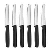 Vente en gros 6pc Set Western Steak Pain Dentelé Toast Couteau En Acier Utilitaire Chef PP Poignée pour Restaurant Hôtel Utilisation JYTD0186