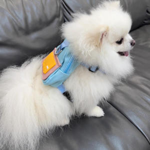 กระเป๋าเป้สะพายหลังสำหรับสุนัขและแมวแบบพับได้ สวยงาม เป็นมิตรกับสิ่งแวดล้อม ทำจากโพลีเอสเตอร์ พกพาสะดวก ใช้สำหรับเดินทาง ใส่ขนมได้ เหมาะสำหรับสัตว์เลี้ยงขนาดเล็ก - Product Image 3