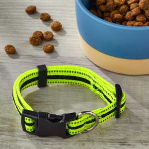 Vibrant Life Collar de perro ajustable reflectante, amarillo neón y negro, pequeño - Product Image 5