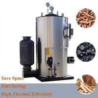 Générateur de vapeur vertical à biomasse haute efficacité, machine à vapeur automatique pour usine de transformation laitière en Afrique du Sud