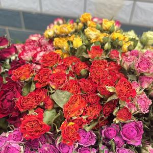 Flores de Rosa Secas Horneadas, Ramo de Rosas Reales para Decoración del Hogar, Centro de Mesa para Bodas, Regalo, Manualidades - Product Image 1