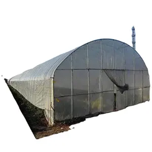 Cheap price plastic film greenhouse hydroponic growing systems PO greenhouse for tomato