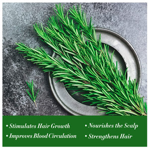 <span class=keywords><strong>Huile</strong></span> <span class=keywords><strong>Essentielle</strong></span> de Massage 100% Pure de Romarin Pressée à Froid 120 ml, <span class=keywords><strong>Huile</strong></span> Capillaire Nourrissante pour la Chute des Cheveux et les Soins Capillaires - Product Image 5
