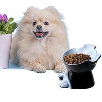 Gamelle anti-étouffement pour chiens, fabriquée au Vietnam, élégante, durable, en plastique écologique, colorée, pour voyage et usage intérieur, Nhi Binh