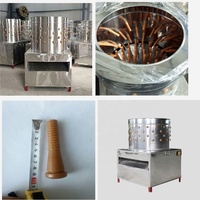 Machine à épiler les plumes de volaille, machine à déplumer les poulets et les cailles, équipement essentiel pour l'abattage