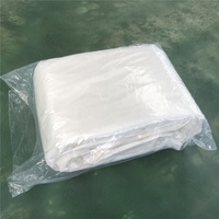 Bâche en PE robuste et imperméable, sur mesure en Chine, 20 X 30, 30x50, 40 X 60, 20x20, 15 X 15, 10x10