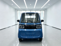 Mini pick-up électrique avec benne de chargement, 4 roues, pour adultes, doté d'un moteur de 2000W, vitesse de 50 km/h, pour la livraison, la logistique agricole et urbaine.