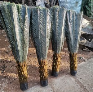 Plante artificielle <span class=keywords><strong>en</strong></span> <span class=keywords><strong>pot</strong></span> de Cycad <span class=keywords><strong>en</strong></span> plastique et soie écologique de haute qualité faite à la main <span class=keywords><strong>en</strong></span> <span class=keywords><strong>pot</strong></span> rond pour la décoration de sol tropical à la maison - Product Image 6