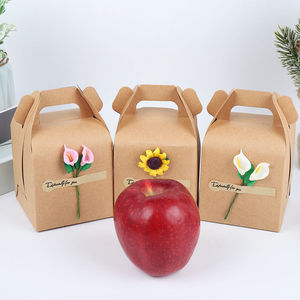 Tùy Chỉnh Trái Cây Sô Cô La Snack Món Quà Giáng Sinh Bánh Kraft Hộp Giấy Với Xử Lý - Product Image 1