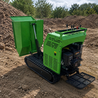 500KG Mini-Raupendumper mit Benzinantrieb und Hydraulischer Hebevorrichtung für Landwirtschaft und Landschaftsbau