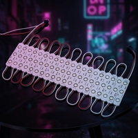 WS2811 5050 RGB Módulo de luz LED Direccionable 12V 75*15mm Tamaño a todo color Impermeable IP65 3LED 5W Potencia Rosa Emisión