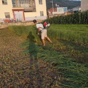 Podadora de Césped Ligera y Potente de 1200W 2 en 1 con Cable, Desbrozadora Eléctrica - Product Image 4