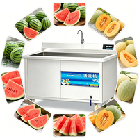 Laveuse à bulles d'ozone commerciale personnalisée OEM/ODM pour le nettoyage automatique des légumes – Votre marque, directement de l'usine pour le marché mondial
