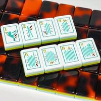 Ensemble de Mahjong Américain Pliable en Acrylique Écologique, Motif Oiseaux et Fleurs, Luxe Moderne, pour Jeux de Casino