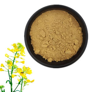 Extracto de Flor de Colza, Materia Prima de Grado Alimenticio, Polen de Colza, Extracto de Planta - Product Image 1