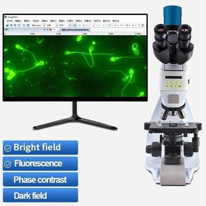 Boshida BD-SW35T-FL明るいフィールド蛍光暗フィールド位相コントラスト化合物光学顕微鏡 - Product Image 2