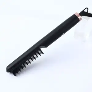 2024 Newly Launched Salon Hairdressing Temperature Control Negative Ion Hair Care And Hair Straightener