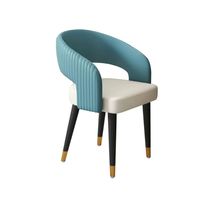Chaise de salle à manger en acier de style italien, mobilier de maison moderne et minimaliste, chaise de restaurant avec dossier