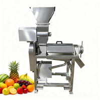 Industriële kleine spiraalvormige sapcentrifuge met hoge productiviteit voor fruit- en groenteverwerkingsbedrijven