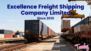 Agente de Transporte Ferroviario Express, Servicio Puerta a Puerta DDP DAP, Transporte Ferroviario Express desde China a Ghana, Países Bajos, Bélgica, Tilburg, Antwerp - Product Image 5