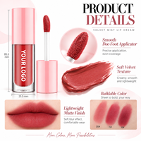 Huile à lèvres repulpante RTS 6ml, hydratante, brillance intense, gloss teinté, faible MOQ 2 pièces, vente en gros, logo personnalisé