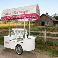 Chariot à glace italienne à température unique personnalisable, refroidissement par air, chariot à main pour sucettes glacées avec certification CE