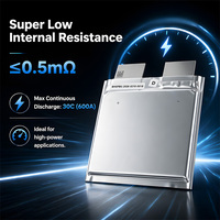 Batterie LiFePO4 souple de haute sécurité, grade A, 3,2 V, 20 Ah, longue durée de vie, cellule lithium pour moteur de pêche à la traîne