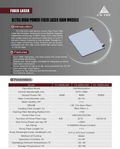 Module de gain laser à fibre ultra haute puissance CS Tec 6kW 8kW 10kW Amplificateur optique - Product Image 2