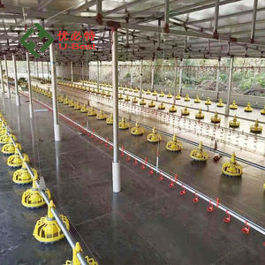 2025 nuovo Design 4 livelli di pollame Farm batteria di polli gabbie per strati per il <span class=keywords><strong>pollo</strong></span> <span class=keywords><strong>2000</strong></span> con sistema di pentole - Product Image 6