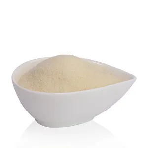 Wholesale halal pharmaceutical grade gelatin Fish gelatin powder