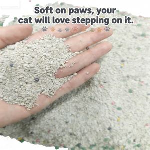 BENJIE Factory Wholesale Price 5kg Gray Ball Shape 0.5-4mm Odor <b>Control</b> Dust-Free Fast Clumping Highly Adsorbent Cat Litter - Product Image 2