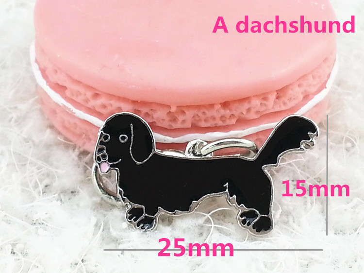 Dachshund Black color