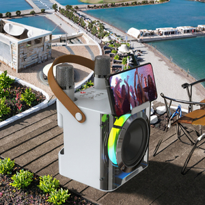 2025 mới chất lượng cao 10W Karaoke Loa RGB Led BT Micro không dây USB OEM/ODM cho các bên ngoài trời sân khấu - Product Image 2