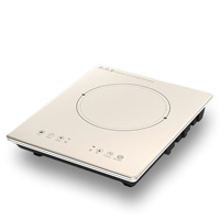 Cuisinière à Induction Intelligente 2200 W, Plaque de Cuisson Portative Solaire pour Plancha et Mijoteuse Électrique de Cuisine