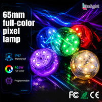 Luz LED de Filamento RGBW Programable de 65 mm, Tipo Globo, DC24V SPI IP67, para Iluminación Arquitectónica de Fachadas de Edificios