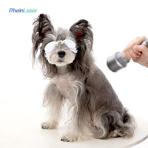 La machine vétérinaire de physiothérapie de thérapie de laser de la cure 810nm 980nm pour des animaux réduisent la douleur et l'inflammation - Product Image 3