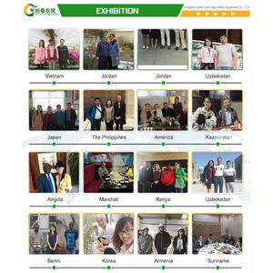 Serre agricole tunnel monopente en PE de haute qualité, petite taille, facilement assemblable, avec couverture en film pour la culture de tomates/concombres - Product Image 6