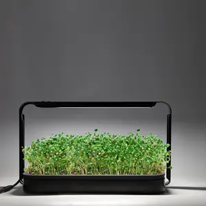 Kit sarter de jardim lettuce hidroponia inteligente, kit para crescimento de letras, sistema interno