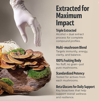 Poudre de suppléments aux champignons pour chiens et chats : Queue de dinde, Reishi, Chaga, Bêta-glucane – Soutien immunitaire et antioxydant – OEM ODM